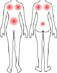 肩甲骨・腹筋・腰