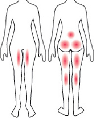 ヒップ・腰・太もも・ふくらはぎ